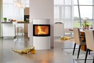 Каминная печь Austroflamm Fynn Xtra